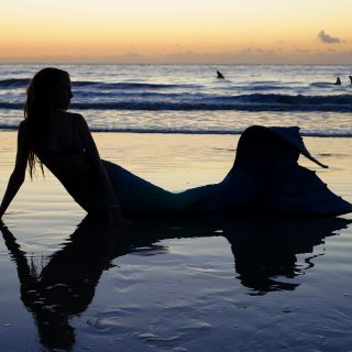 Mermaid Message Captivity is Wrong Dolphins