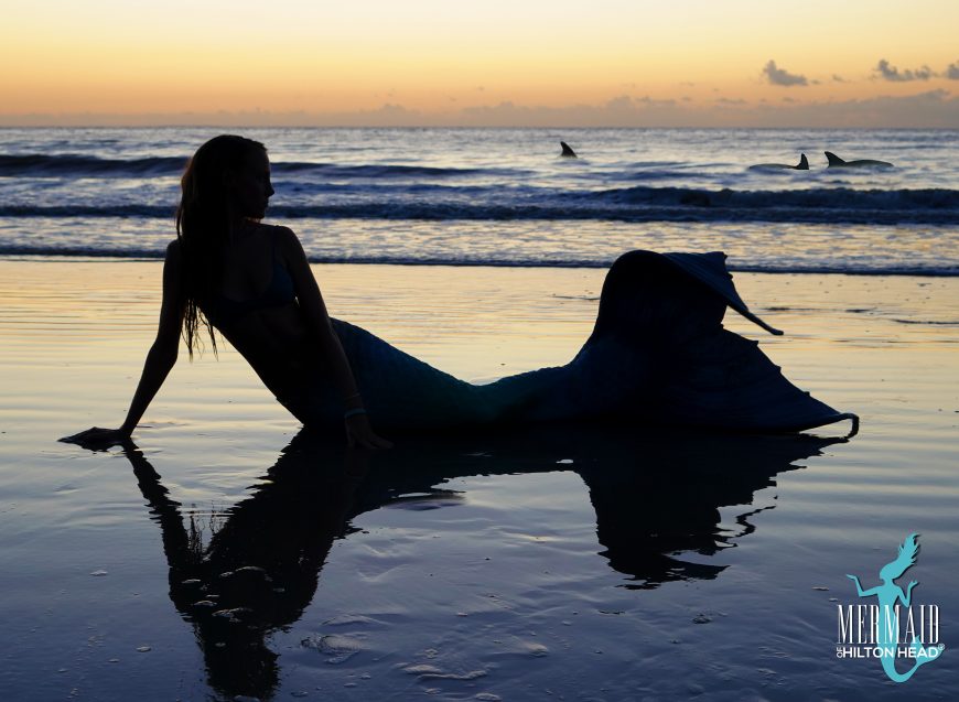 Mermaid Message Captivity is Wrong Dolphins