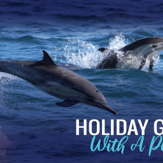 Holiday Giving with a Purpose