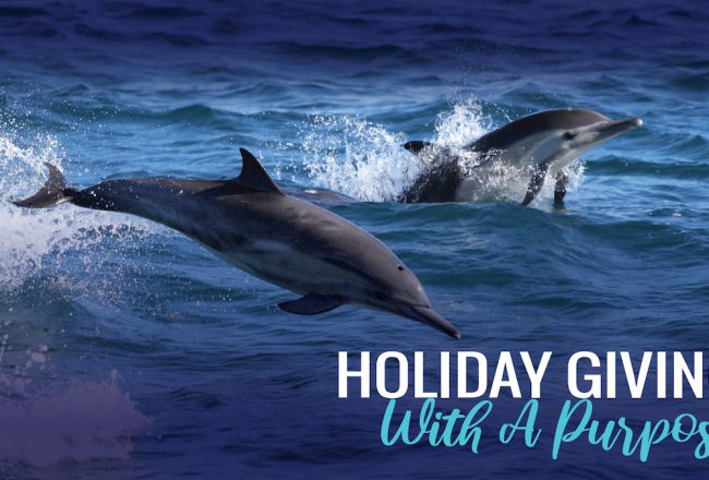 Holiday Giving with a Purpose