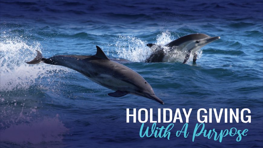 Holiday Giving with a Purpose