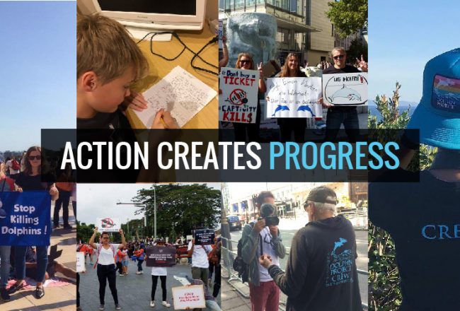 Action Creates Progress