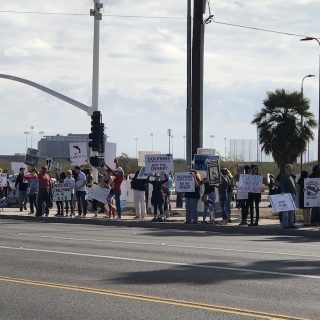 Shut down Dolphinaris Arizona!
