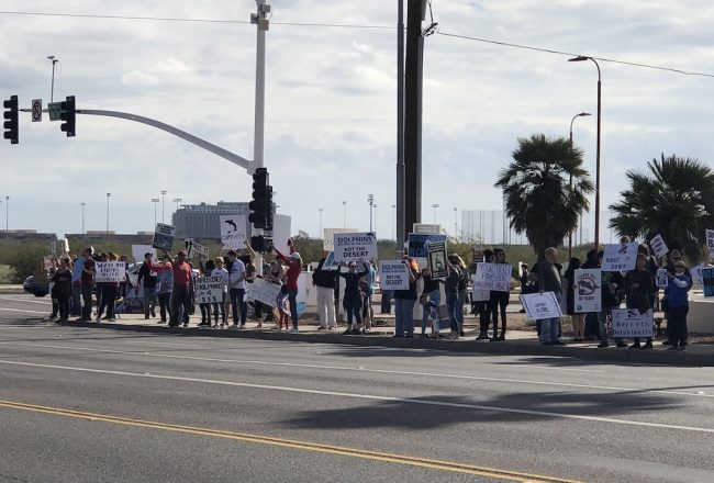 Shut down Dolphinaris Arizona!