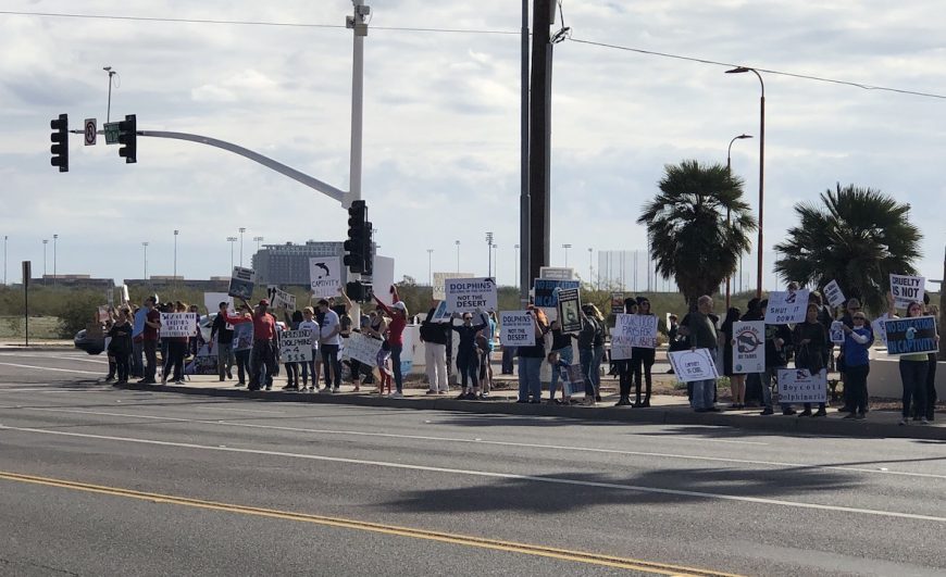 Shut down Dolphinaris Arizona!