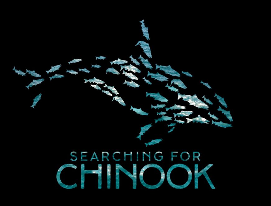 searching for chinook