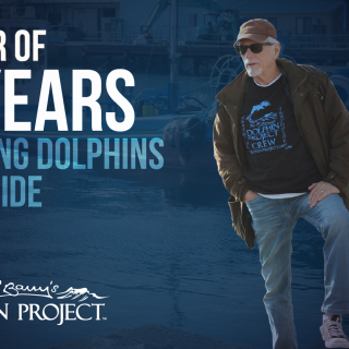 Happy 49th Birthday Dolphin Project!