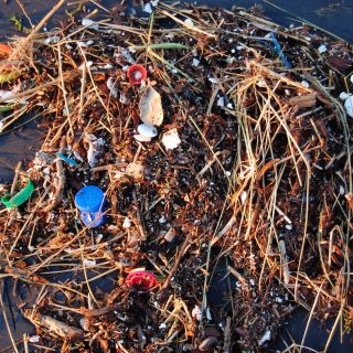 Plastic washes ashore after a storm, Ocean Beach, San Francisco