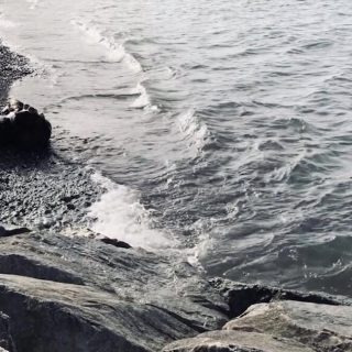 Shoreline, credit: Cara Sands