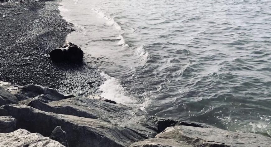 Shoreline, credit: Cara Sands
