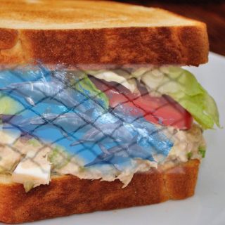 Did dolphins die for your tuna sandwich?
