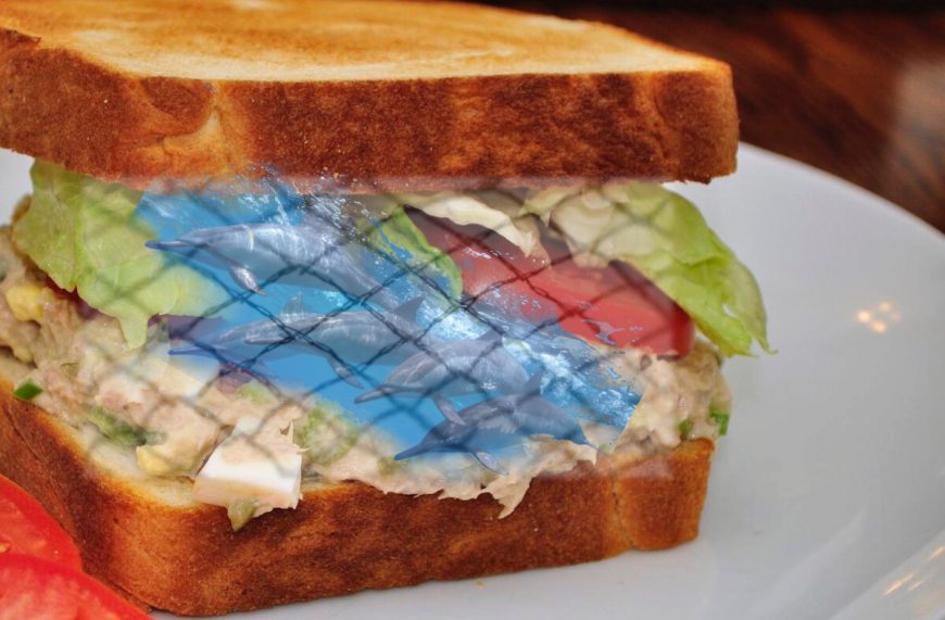Did dolphins die for your tuna sandwich?