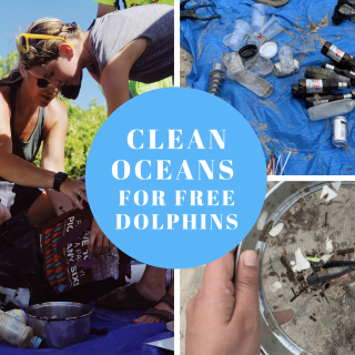 Global beach clean up