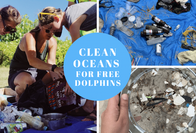 Global beach clean up