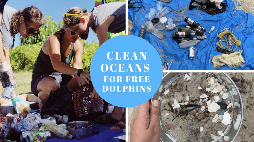 Global beach clean up