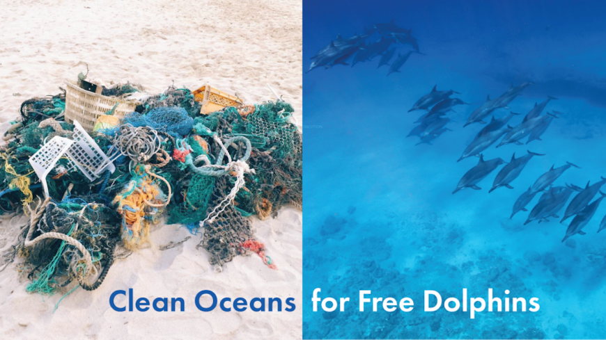 Global Beach Clean Up
