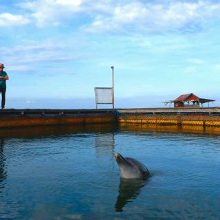 Ric O’Barry and dolphin Rambo, Bali, Indonesia