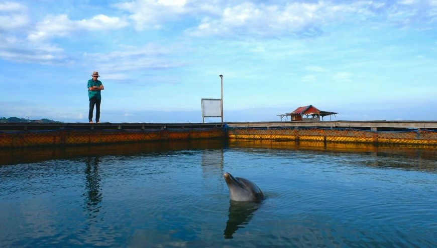 Ric O’Barry and dolphin Rambo, Bali, Indonesia