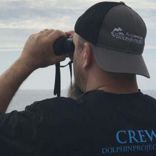 Dolphin Project Cove Monitor scans the horizon for hunting boats, Taiji, Japan.