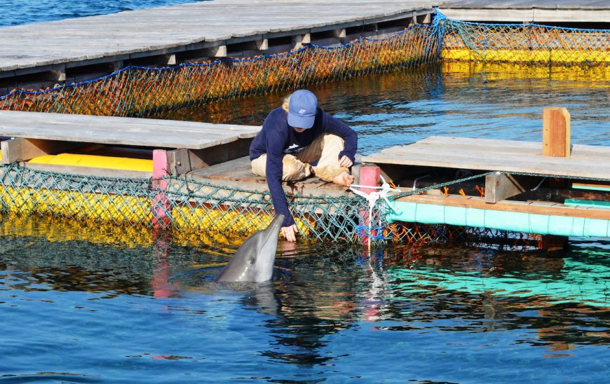 Helene O’Barry with Rocky, Bali, Indonesia