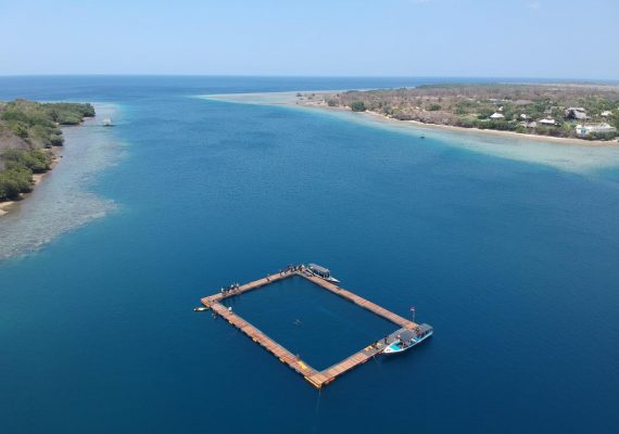 Bali Sanctuary - World’s first permanent dolphin sanctuary