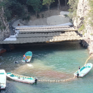Exclusive: Drone Footage of Taiji’s Dolphin Slaughters