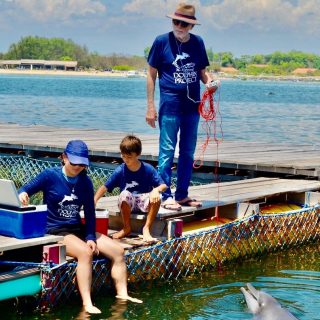 Rocky and Rambo continue their rehabilitation in the temporary sea pen, Bali, Indonesia.