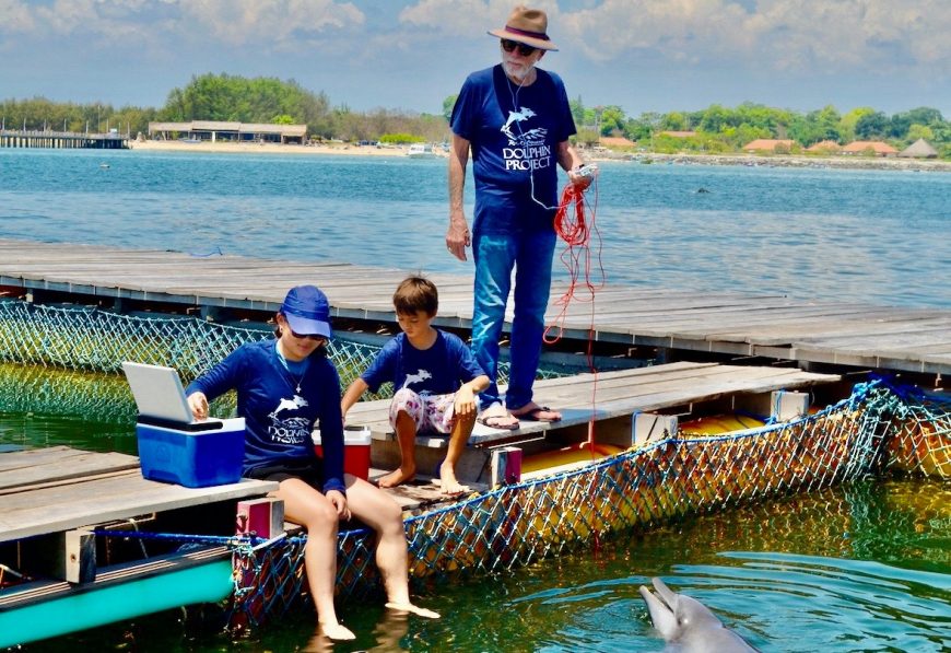 Rocky and Rambo continue their rehabilitation in the temporary sea pen, Bali, Indonesia.