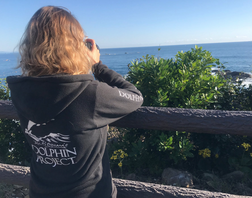 Dolphin Project Cove Monitors scan the horizon for hunting boats, Taiji, Japan