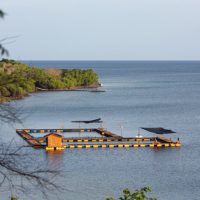 Bali, Indonesia, home of the world’s first permanent dolphin sanctuary