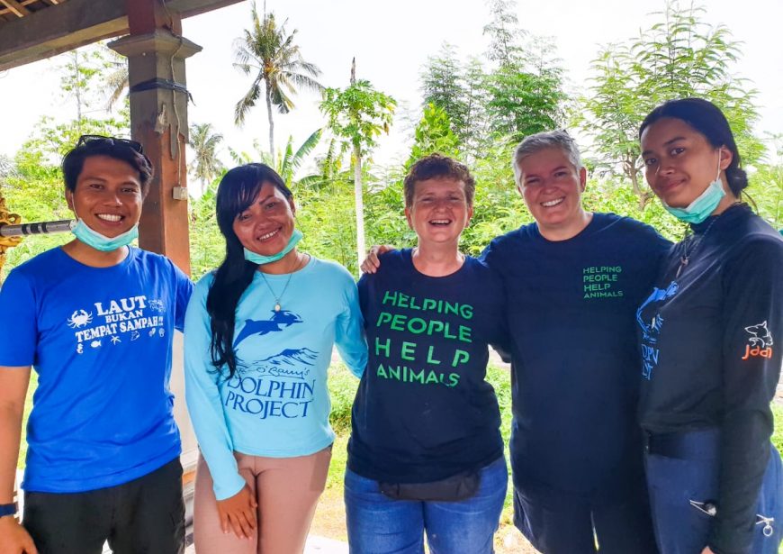 Our team working with Bali Pet Crusaders to help sterilize domestic animals, Bali Indonesia