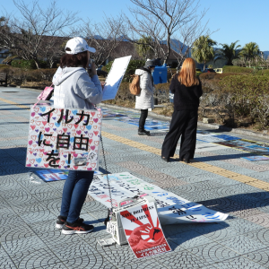Japanese anti captivity demonstration Japanese anti captivity demonstration