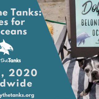 Empty the Tanks Event: Selfies for Cetaceans