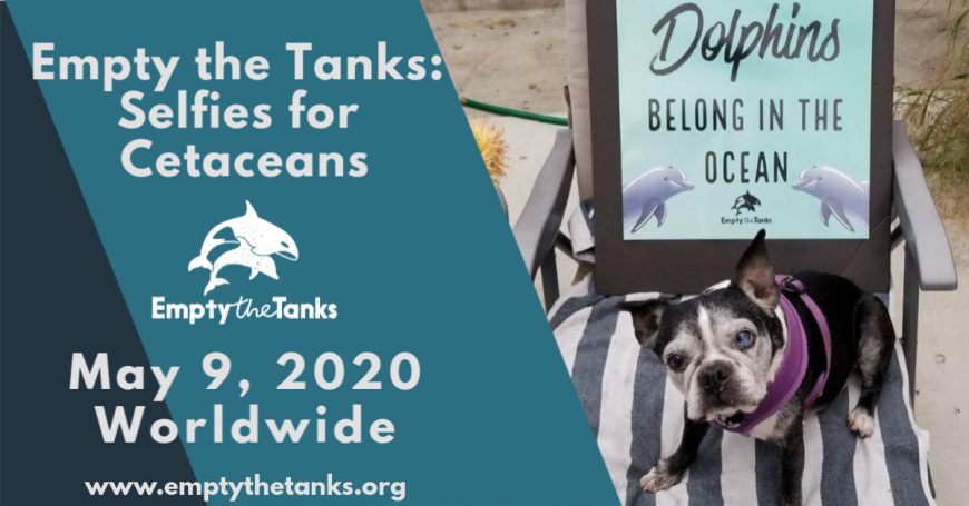 Empty the Tanks Event: Selfies for Cetaceans