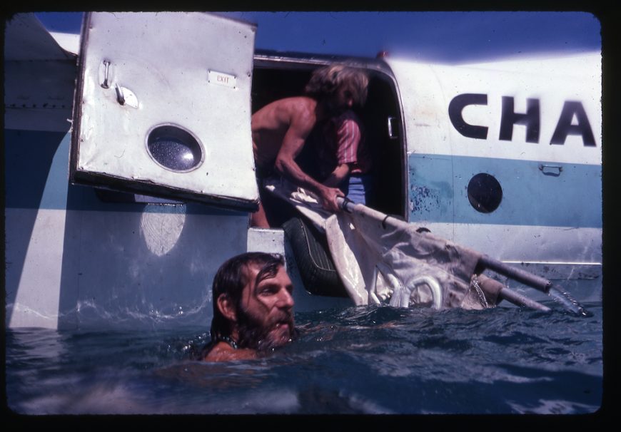 Liberty and Florida being released into the open ocean.