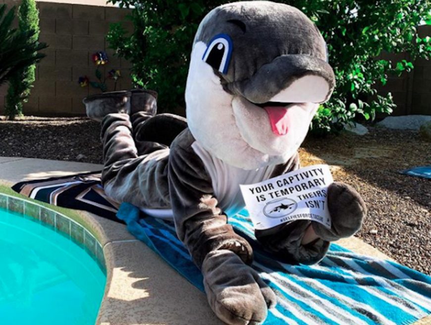 Empty the Tanks: Selfies for Cetaceans