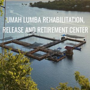 UMAH LUMBA REHABILITATION, RELEASE AND RETIREMENT CENTER
