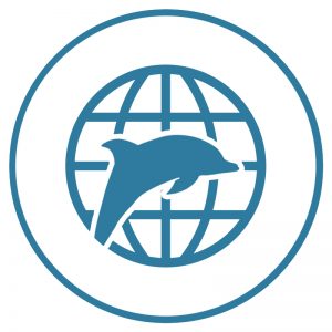 What we're up to Dolphin project Blog Icon