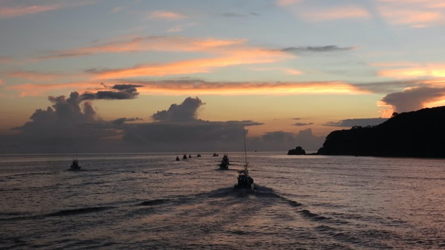 Hunting boats head out in search of dolphins on the first day of Taiji, Japan's dolphin drive hunt season.