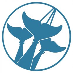 Drive Hunt Icon taiji drive hunt