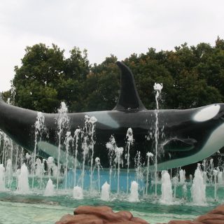 Adventure World Orca fountain at the front gates