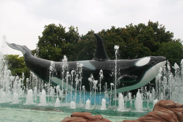 Adventure World Orca fountain at the front gates