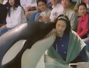 Ai, Killer whale, screenshot