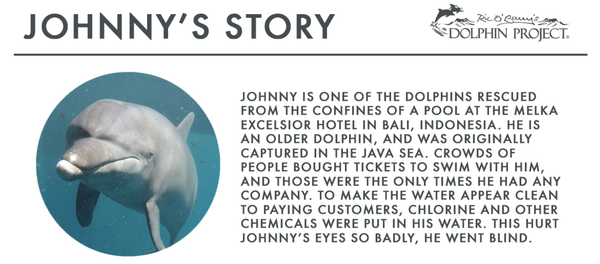 Johnny’s Story