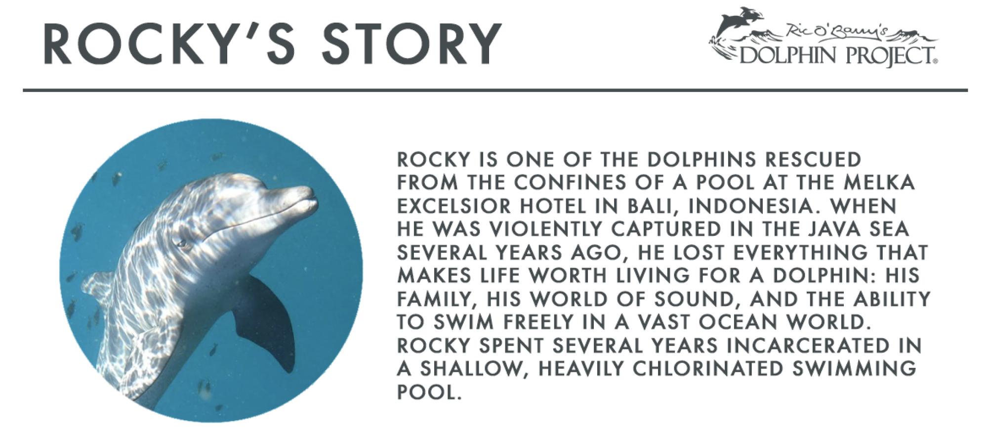 Rocky’s Story