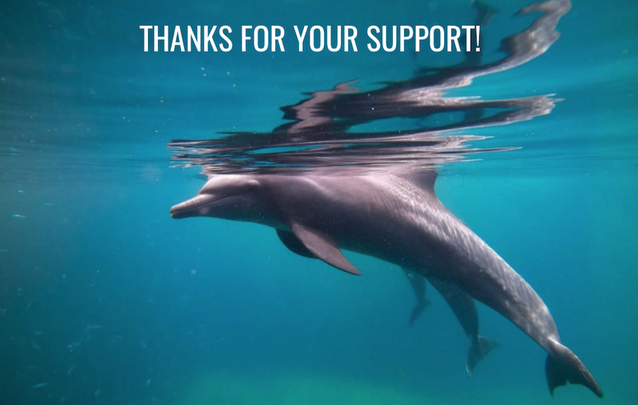 Thanks for your support!