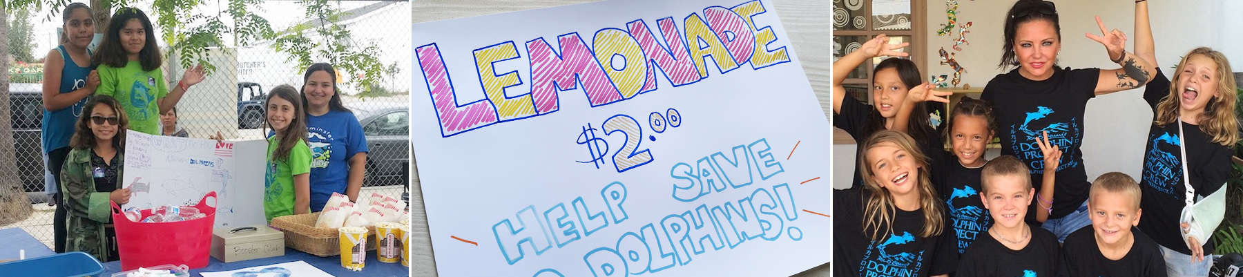 Get Creative for Dolphin Defender Month