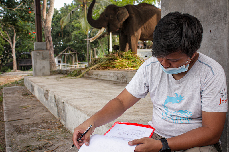 Our team cares for elephants and sun bears in need