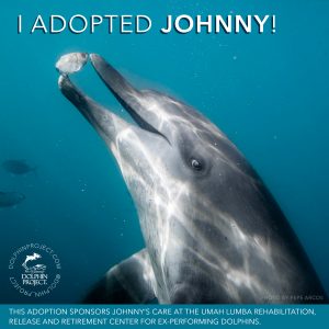 Download and share this graphic on social media to let your friends know that you're supporting Johnny!