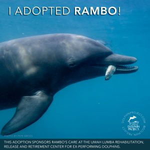 Download and share this graphic on social media to let your friends know that you're supporting Rambo!